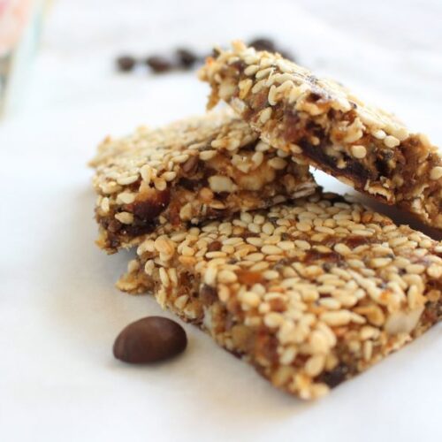 Protein snack bars